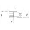 Ref. 920BL - Vaso largo en métrico 1/2" multicara