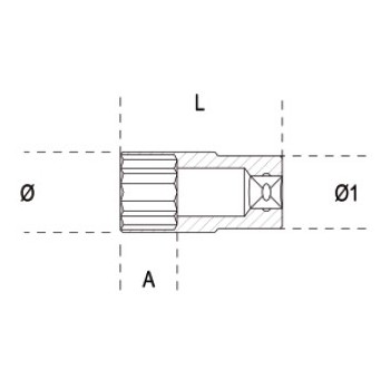 Ref. 920AS/L - Vaso largo en pulgadas 1/2" multicara