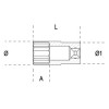 Ref. 920AS/L - Vaso largo en pulgadas 1/2" multicara