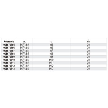 Ref. 867RIBE - Puntas de 10mm perfil RIBE