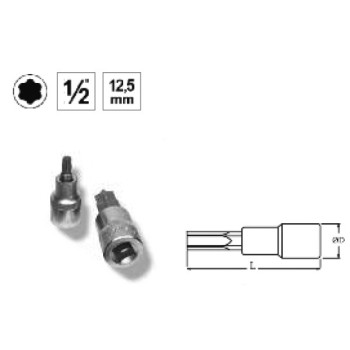 Ref. 0850 725 545 - VASO 1/2” PUNTA TORX CORTA