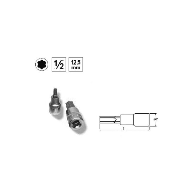 Ref. 0850 725 555 - VASO 1/2” PUNTA TORX CORTA