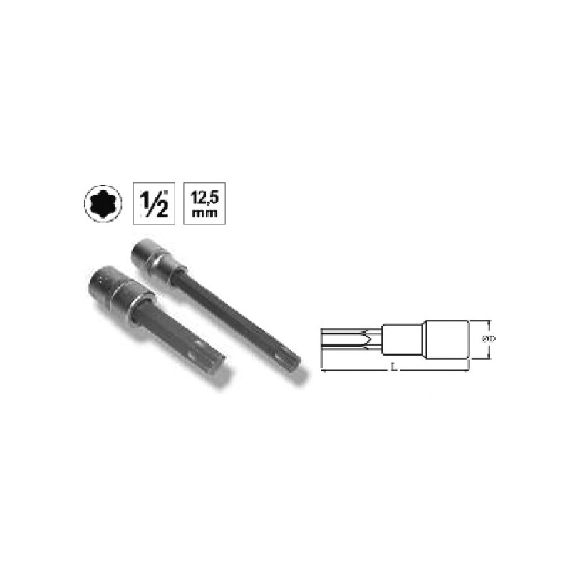 Ref. 0850 721 055 - VASO 1/2” PUNTA TORX LARGA