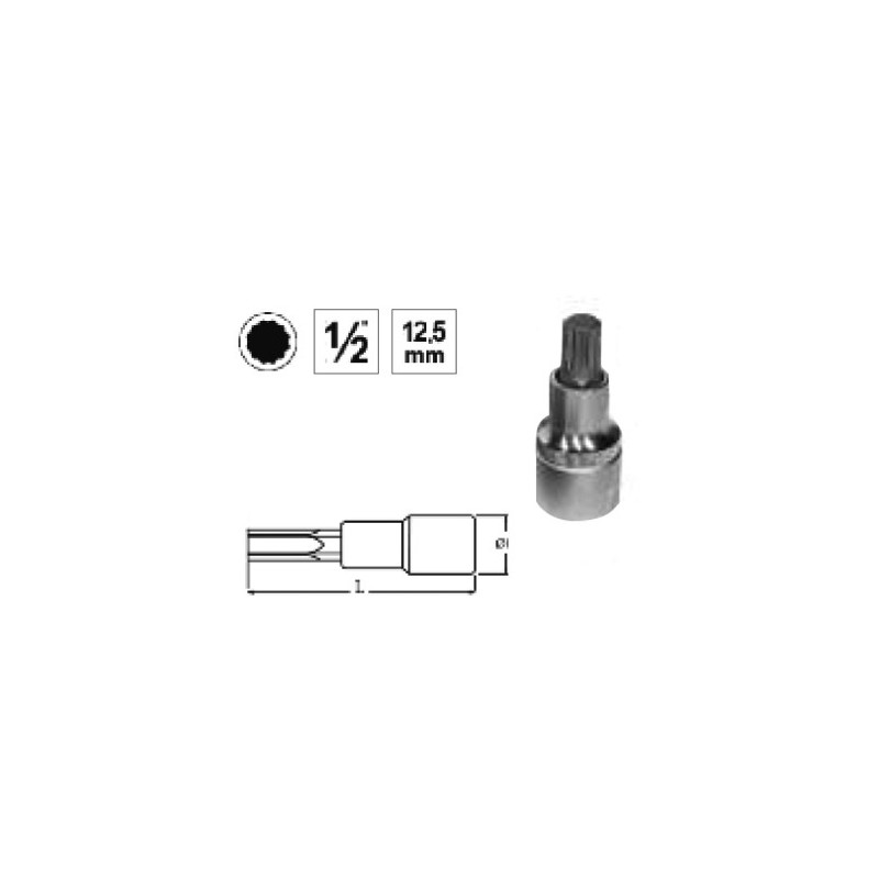 Ref. 0850 728 506 - VASO 1/2” PUNTA XZN CORTA