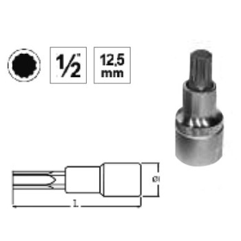 Ref. 0850 728 510 - VASO 1/2” PUNTA XZN CORTA