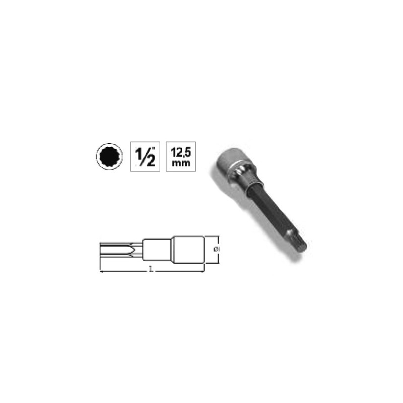 Ref. 0850 728 016 - VASO 1/2” PUNTA XZN LARGA
