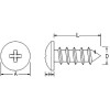 0044 29 19 - Tornillo Rosca Chapa Cilíndricos Philips, Cincado Negro (DIN 7981)