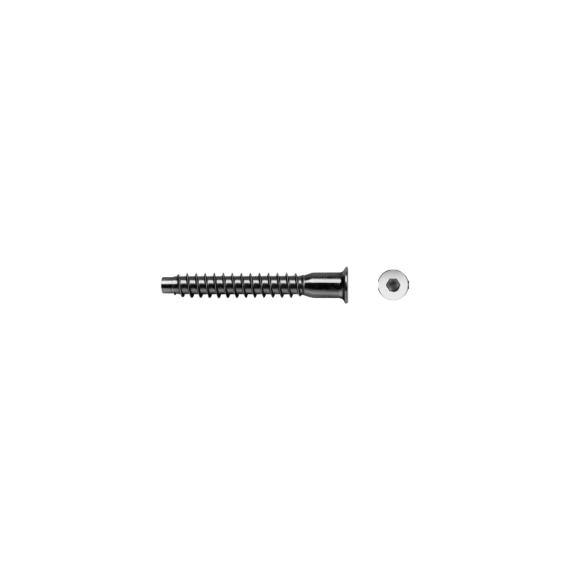 Ref. 0970 0409EB750 - Tornillo Ensamblaje Huella Allen