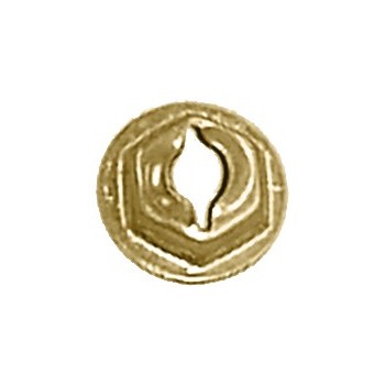 Fijación