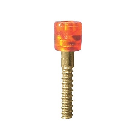 Tornillo fij. intermitente delant. a parachoques Focus 985 (monta con 162.963)