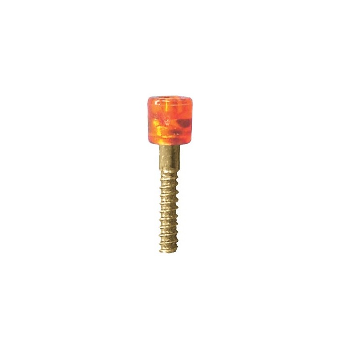 Tornillo fij. intermitente delant. a parachoques Focus 985 (monta con 162.963)