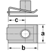 Fijación