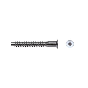 FAM 0970 0409 - Tornillo Ensamblaje Huella Allen