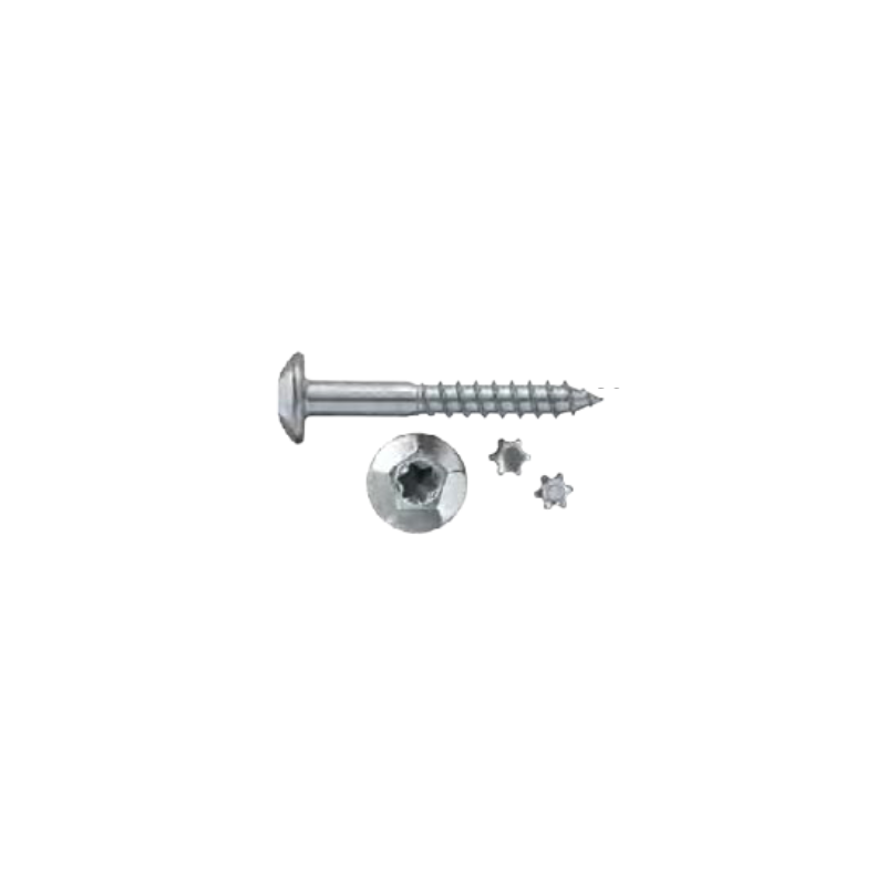 FAM. 0970 0514 - Tornillo Inviolable, Huella TX-40 con Estrella de Seguridad