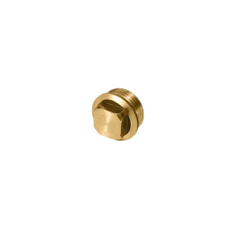Ref. 0760 260 607 - Tapones Ciegos Rosca Métrica