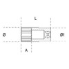 Ref. 920AS/L - Vaso largo en pulgadas 1/2" multicara