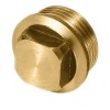 Ref. 0760 260 605 - Tapones Ciegos Rosca Métrica