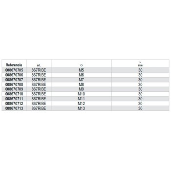 Ref. 867RIBE - Puntas de 10mm perfil RIBE