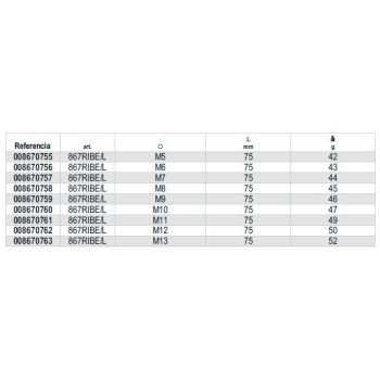 Ref. 867RIBE/L - Puntas de 10 mm Larga perfil RIBE