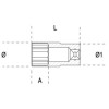 Ref. 009000335 - 900AS/MBL Vaso largo en pulgadas 1/4" multicara