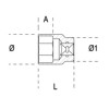 Ref. 920A/AS - Vaso estándar en pulgadas 1/2" hexagonal